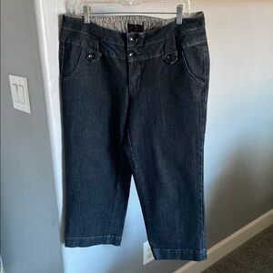 Torrid Dark Wash Blue Ankle Jeans